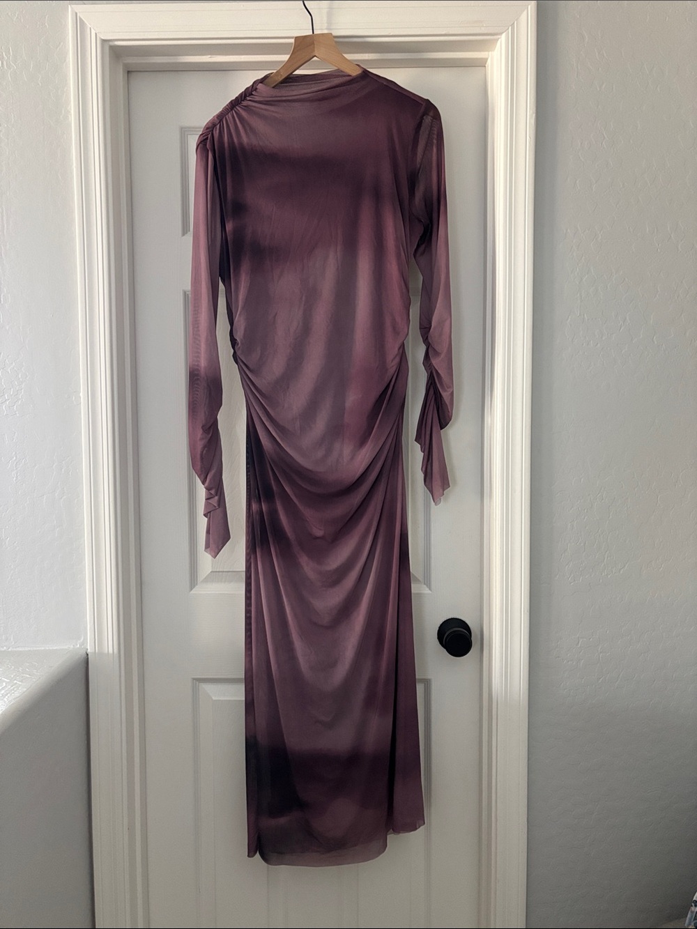 Zara Long Sleeve Draped Tulle Maxi Dress